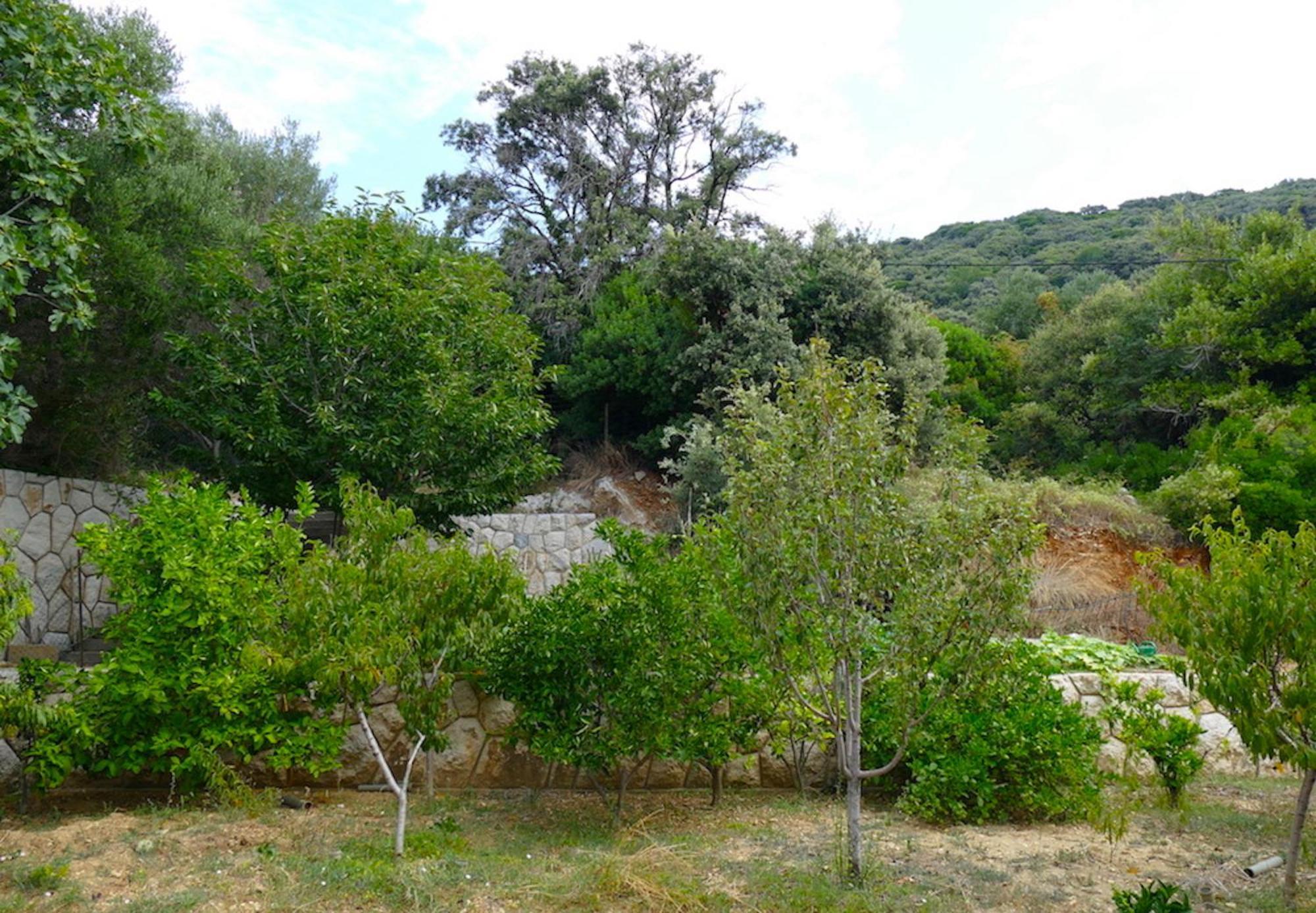 B&B Garni Stefi! Supetarska Draga Rum bild